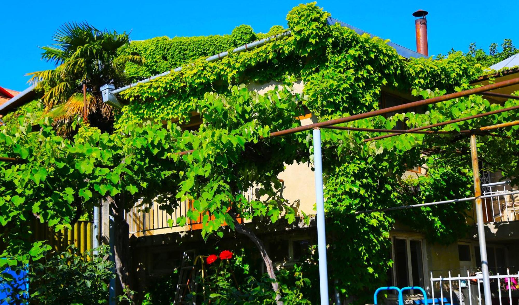 Guest House Green Veranda Mtsʼkhetʼa Eksteriør billede